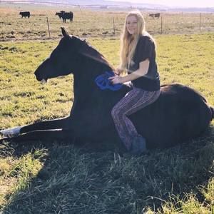 Meet your Posher, Noelle